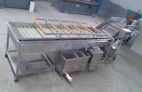 秋意正濃公司 引領產業革新，新型果蔬清洗風干流水線與先進汽輪機同步上市